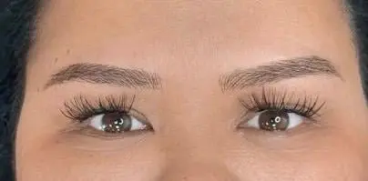 sourcil powder brows